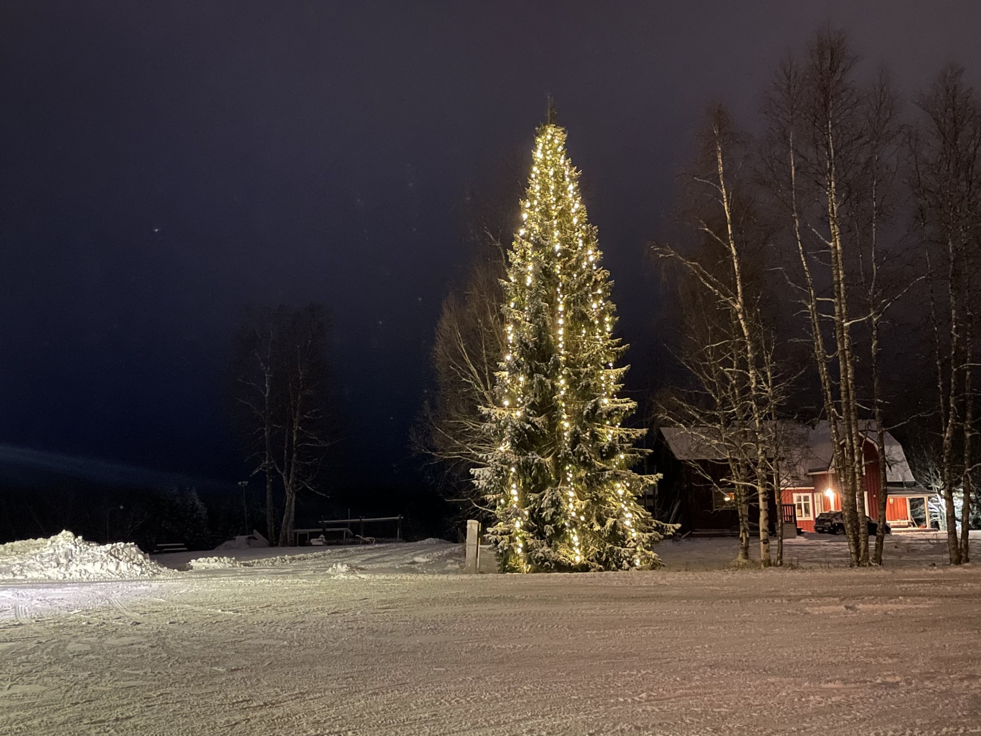 article.Article.Image1AlternateText