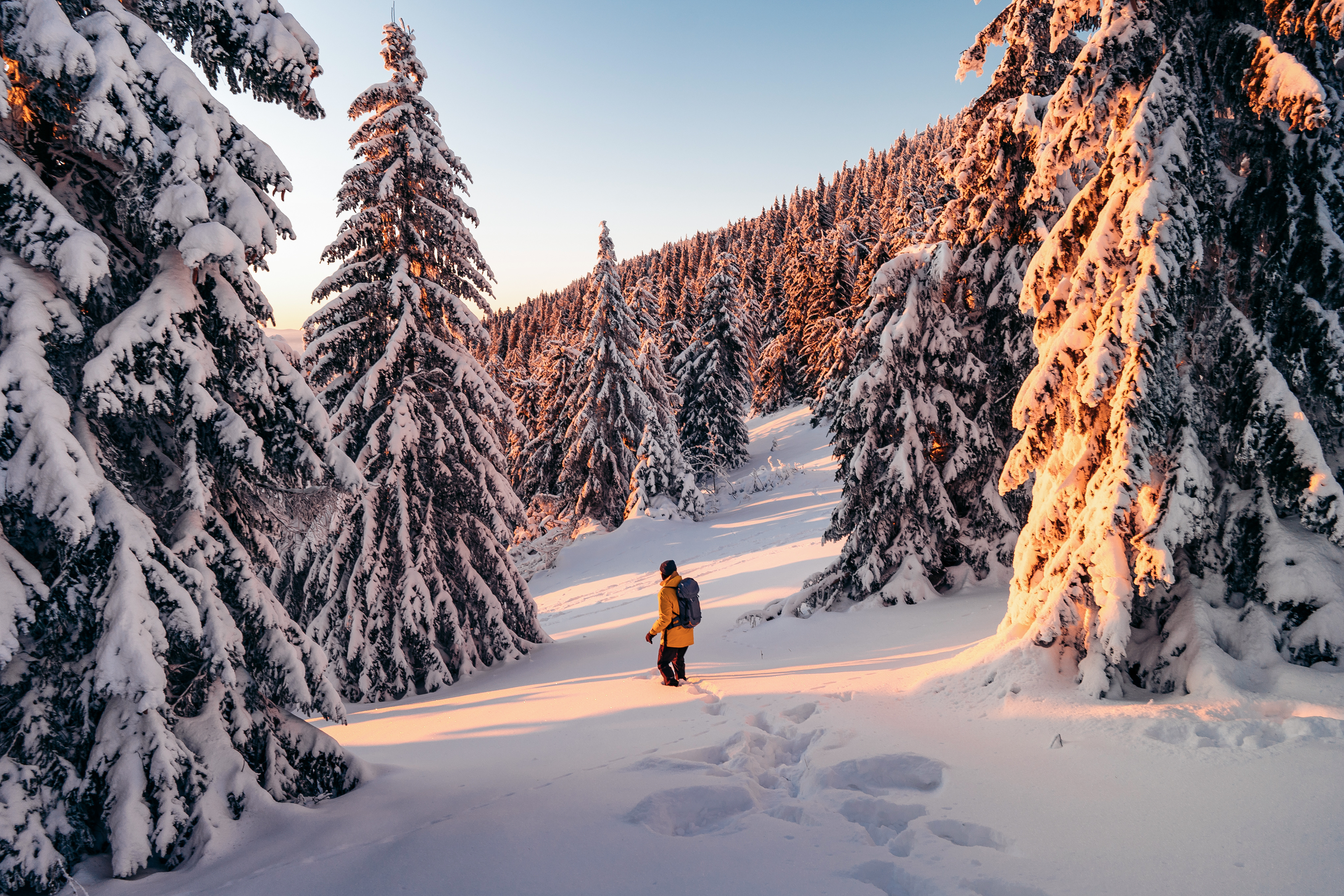 En person i ett snöigt vinterlandskap.
